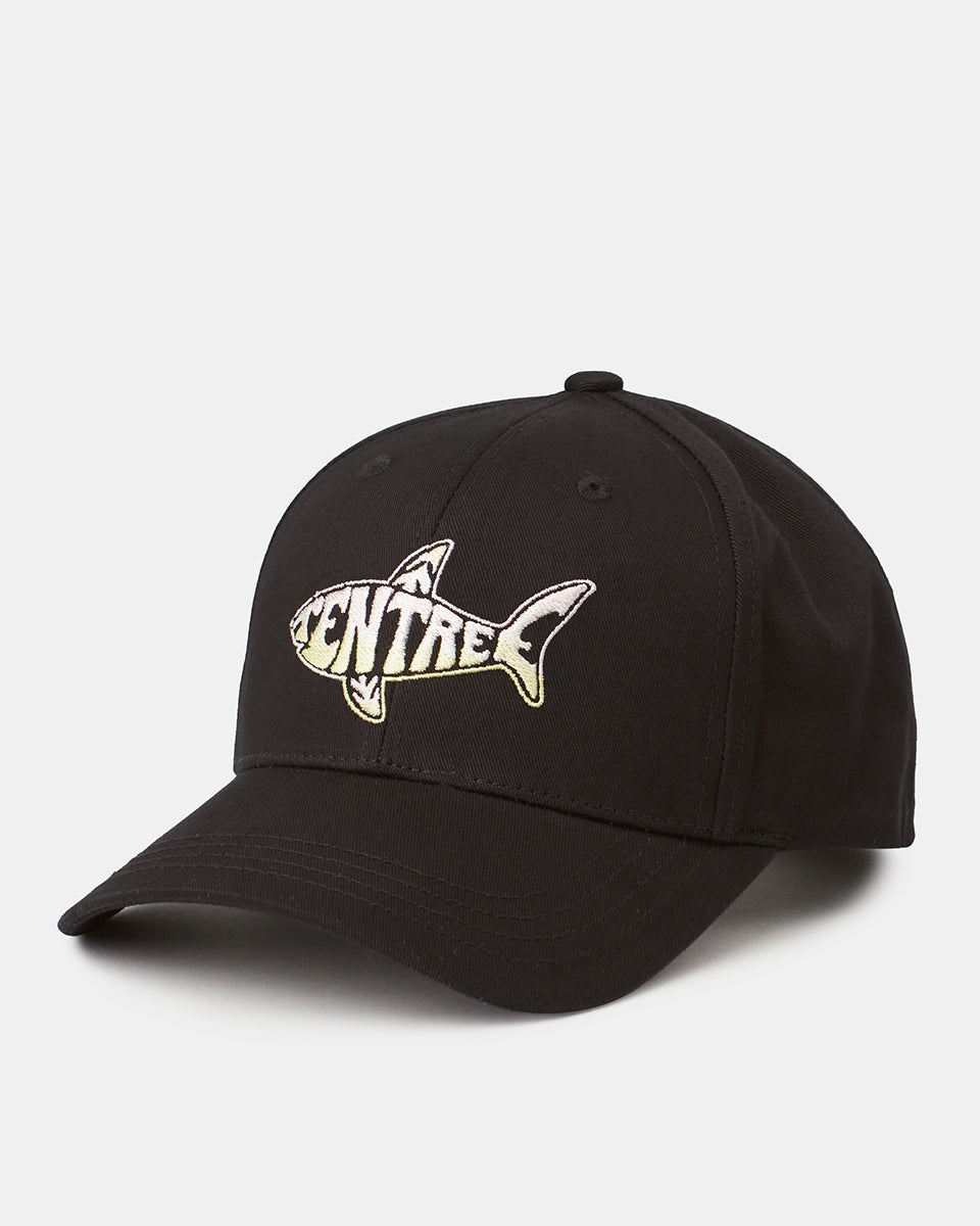 Tentree dad hat cheap