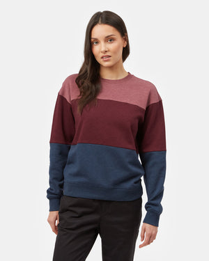 Purple Women's Eco-Friendly Stripe Pullover