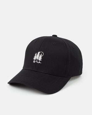 black_snapback_baseball_cap